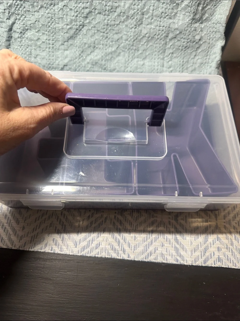 CWC Purple Snack Box with Dividers NWT